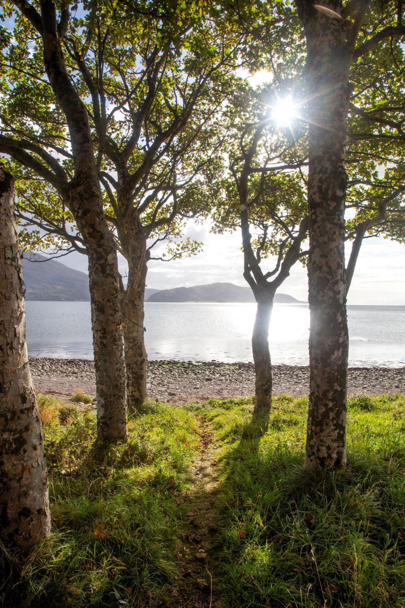 Ash, Birch And Rowan Self Catering Cabins Onich Eksteriør billede